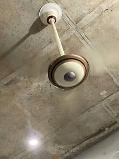 GFC FANS CEILING