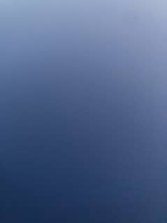 I need panel one plus 7t