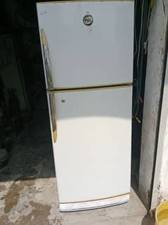 PEL Fridge Medium Size