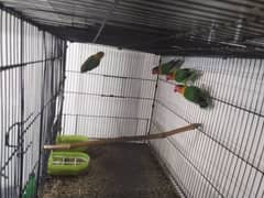 Fisher Pair for sale