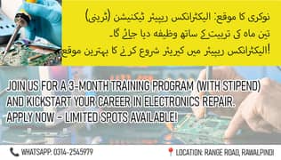 Electronics Repair Technician