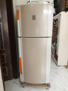 refrigerator fridge full size