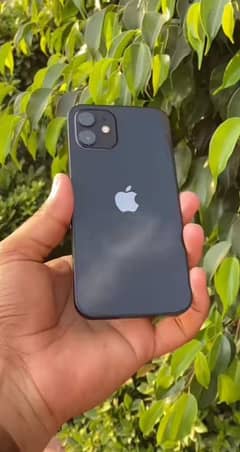Iphone 12 waterpack factory unlock