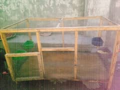 Hens 3 cages (whatsupp/03053991673