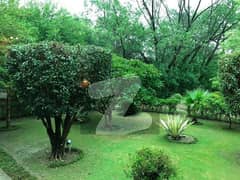 32 Kanal Beautiful Farmhouse Plot At Theater Farmhouses Community.