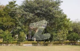 16 Kanal Land Area Available To Near Dha Phase 7