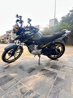 Yamaha