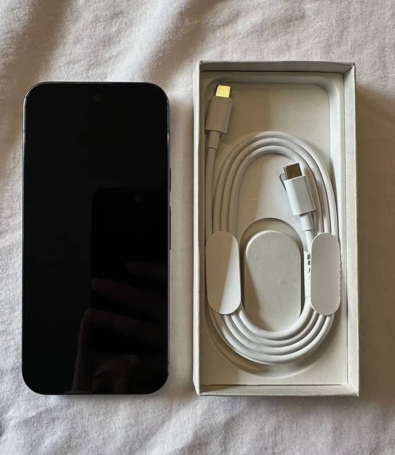 Google Pixel 9 Pro 1