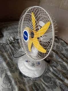 new fan Best of summar season