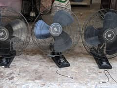 fans SK fans