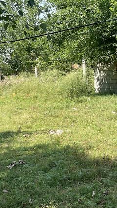 farmhouse