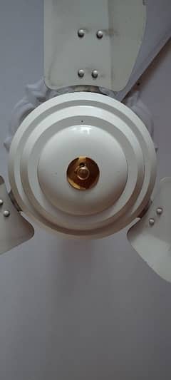 solar fan