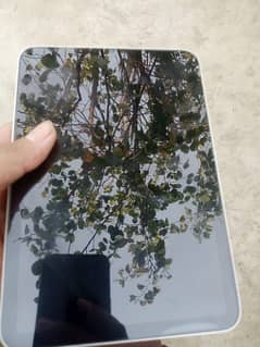 I Paid Mini 6