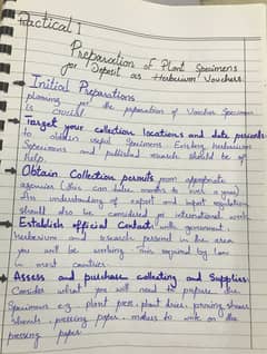 Handwritten assignment