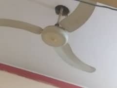 Gfc  Yunus fan very good condition 0335,4269193