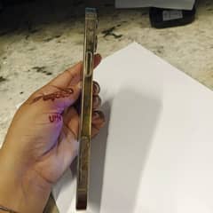 IPHONE 12 PROMAX