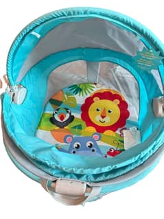 Fisher -Price Portable Bassinet