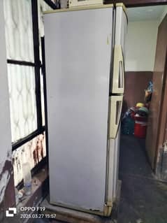 PEL