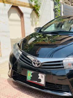 Corolla gli