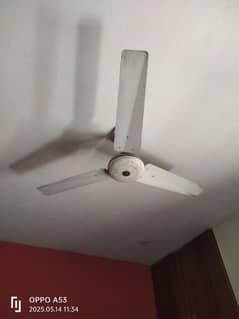 2 Indus ceiling fans in very good codition