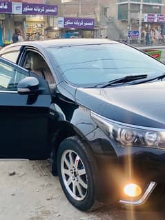 Corolla gli