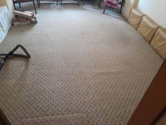 Synthetic Woollen Carpet with Under Lay