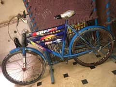 Safari Bicycle