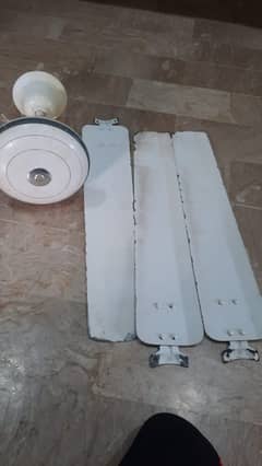CEILING FAN