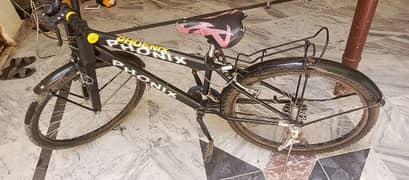 Chigago Black Bicycle