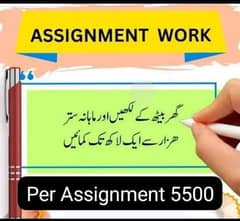 Handwriting Assignment Data Entry And Typing work