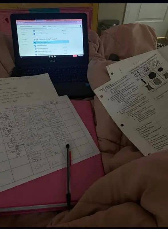 Handwriting Assignment Data Entry And Typing work 1