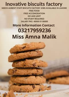 Need Staff required innovative biscuits factory jobs available in Lhr