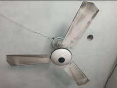 celling