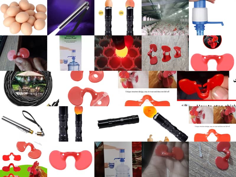 HHD / Intelignt / Yewan / incubator / Egg Hathing & controllers /Part 6