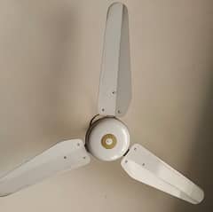 Ceiling Fans | Lahore Fan | For Sale
