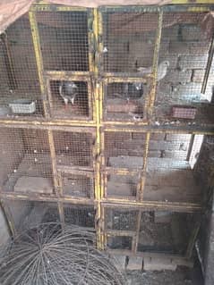 havey iron cage 6 partion