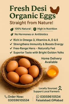 Desi hen eggs