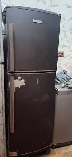 dawlence & electrolux Fridge