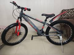 full size cycle