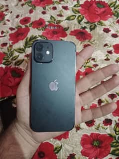 iphone 12 10 by 10 4/64 VJ non pta Battery health 93%  Price 62000Rs