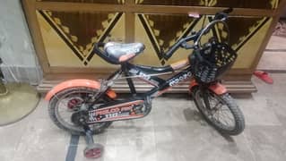 kids cicle