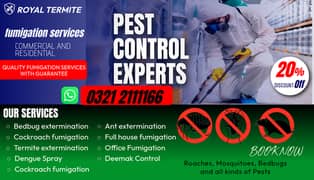 Termite control- Deemak- Dengue Spary,Fumgation & Pest control Service