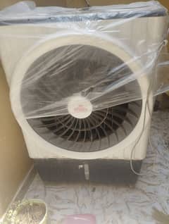 sonex