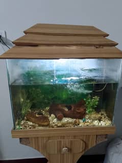 Fish Aquarium for sale