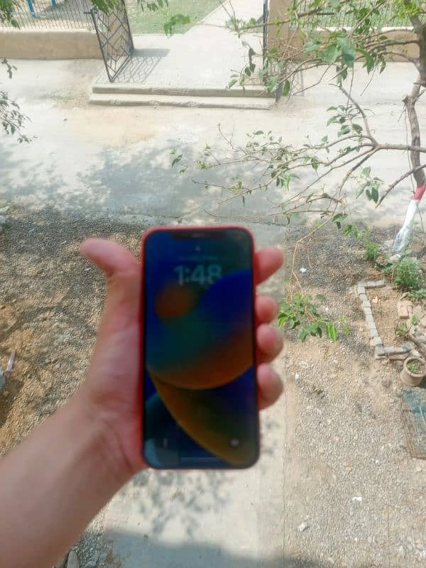 iphone 12 red non pta factory unclock sim. working 1