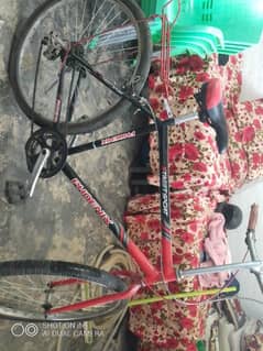 phoenix cycle new tyres everything oky