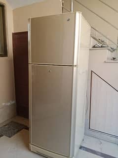 pel large size fridge 03215479892