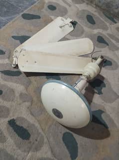 Good Condition Ceiling Fan