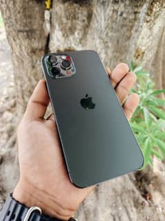 iphone 12 pro max jv