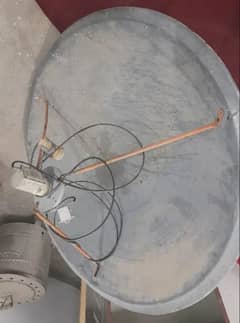 Dish